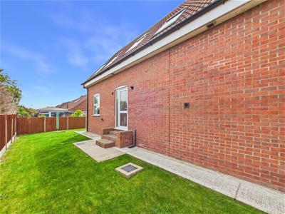 Picture 43
